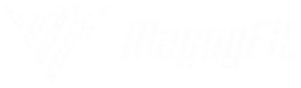 MagnyFit